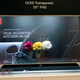 Image: Alex Cranz/Gizmodo